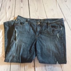 Lane Bryant jeans